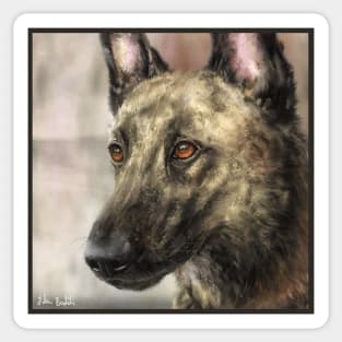 A Painting of a Brindled Dutch Shepherd Sticker